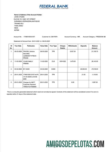 Modelo realista de extrato de conta do Banco Federal da Índia, Word e PDF, versão 2